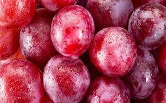 تصویر 5 از خرید و قیمت آلو خشک ترش + فروش عمده